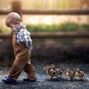 Биология (6-8 лет)